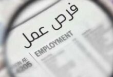فرص عمل جديدة برواتب تصل إلى 30 ألف جنيه.. وزارة العمل تعلن عن توفير 1140 وظيفة للمواطنين في جميع القطاعات