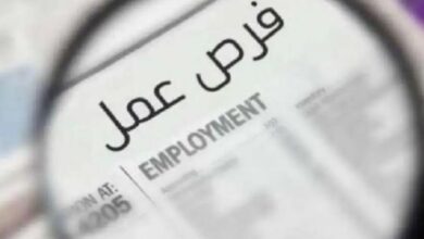 فرص عمل جديدة برواتب تصل إلى 30 ألف جنيه.. وزارة العمل تعلن عن توفير 1140 وظيفة للمواطنين في جميع القطاعات