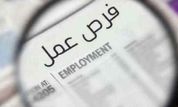 فرص عمل جديدة برواتب تصل إلى 30 ألف جنيه.. وزارة العمل تعلن عن توفير 1140 وظيفة للمواطنين في جميع القطاعات