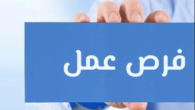 فرص عمل جديدة للخريجين برواتب تصل إلى عشرين ألف جنيه ومزيد من التفاصيل في إطار النجاح المهني