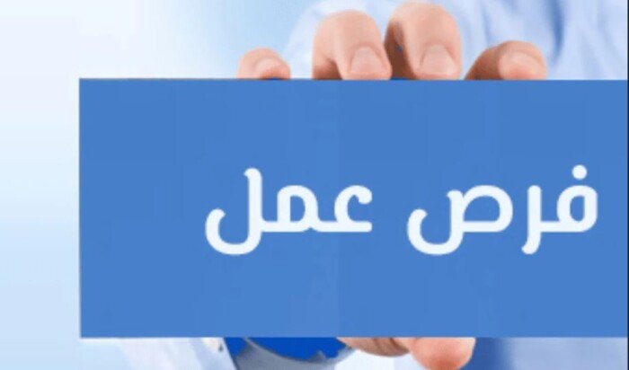 فرص عمل جديدة للخريجين برواتب تصل إلى عشرين ألف جنيه ومزيد من التفاصيل في إطار النجاح المهني