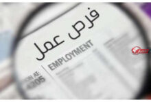 فرص عمل مميزة للسيدات في مجالات الأمن والحراسة مع التفاصيل وطريقة التقديم عبر «العمل»