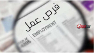 فرص عمل مميزة للسيدات في مجالات الأمن والحراسة مع التفاصيل وطريقة التقديم عبر «العمل»