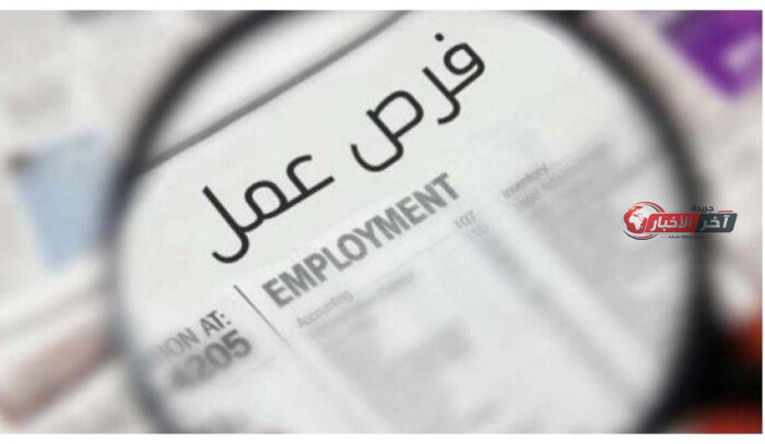 فرص عمل مميزة للسيدات في مجالات الأمن والحراسة مع التفاصيل وطريقة التقديم عبر «العمل»