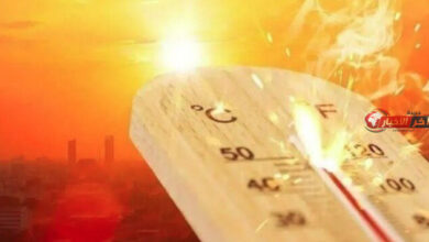 هل تعود الموجات الحارة للارتفاع مجددا في مصر بعد الانخفاض المفاجئ