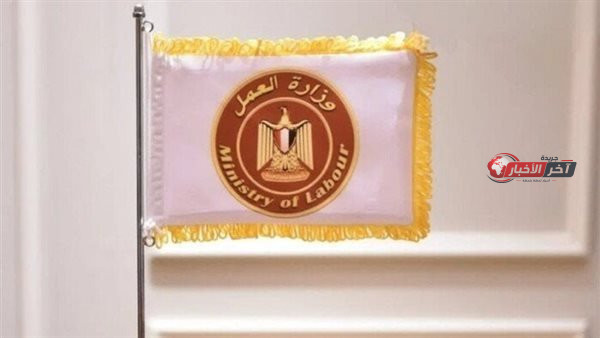 وزارة العمل تعلن عن وظائف جديدة برواتب تصل إلى 16 ألف جنيه وشروط التقديم