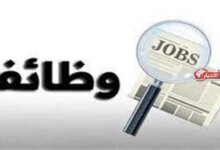 وظائف وزارة العمل 2026.. 2594 فرصة عمل في 38 شركة عبر 10 محافظات
