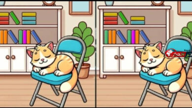 لغز القطة النائمة