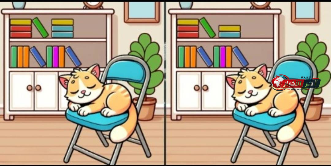 لغز القطة النائمة