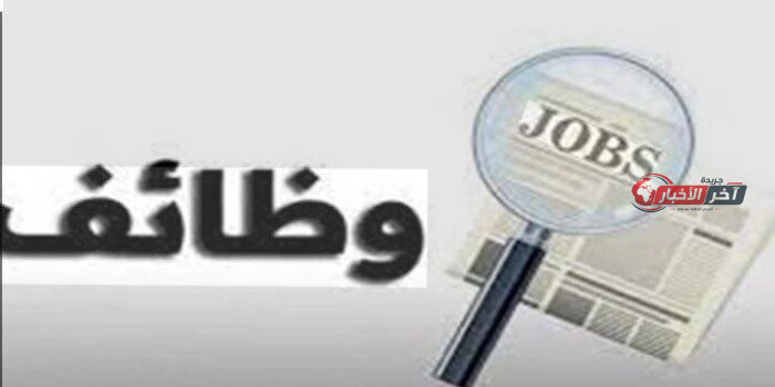 855 فرصة عمل جديدة للشباب.. وظائف بمرتبات تصل إلى 30 ألف جنيه خلال الأسبوع