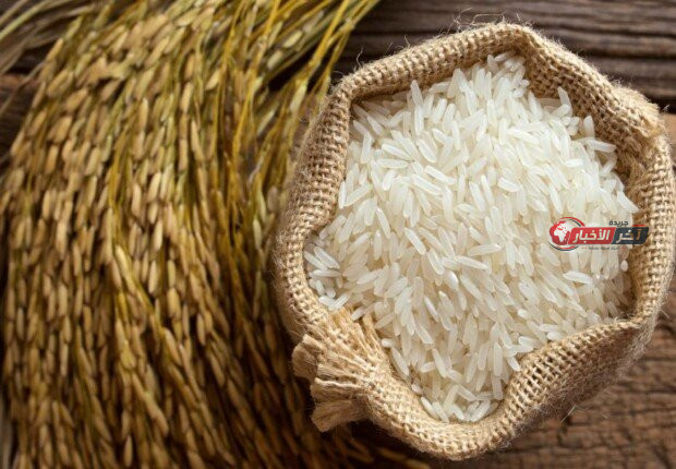 الحبة العريضة والرفيعة بكام؟.. سعر الأرز الشعير اليوم الخميس 3 سبتمبر 2026