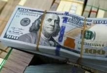 الدولار يثبت أمام الجنيه.. استقرار في أسعار الصرف خلال تعاملات اليوم في البنوك