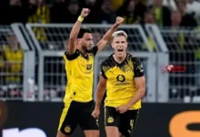 بوروسيا دورتموند يحقق فوزًا ثمينًا أمام هوفنهايم بنتيجة 3-2 في الدوري الألماني