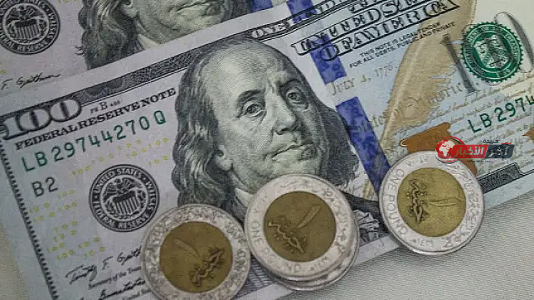 سعر الدولار أمام الجنيه في البنوك يسجل استقرارًا مع ختام تعاملات اليوم الثلاثاء 1 سبتمبر