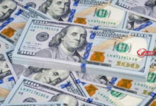 سعر الدولار اليوم الجمعة 4 سبتمبر 2026 في البنوك يواصل الاستقرار بعد حالة التذبذب الأخيرة