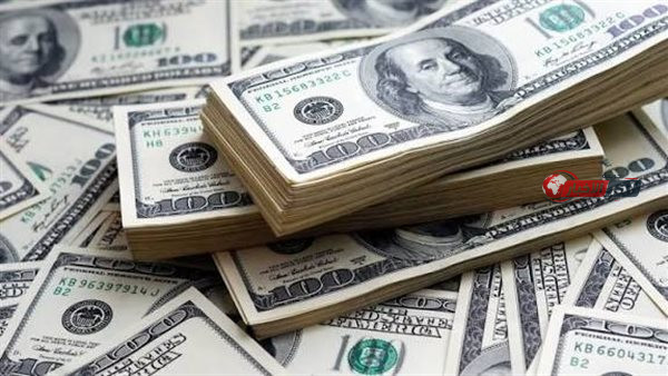 سعر الدولار اليوم يرتفع إلى 51.20 جنيهًا بسوق الصرف المصرية وسط توقعات باستقرار سعر الصرف