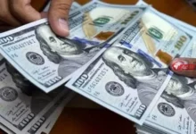 سعر الدولار في البنوك المصرية اليوم السبت 5 سبتمبر 2026 يواصل استقراره مع تفاعل السوق المالية