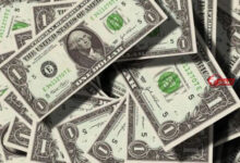 سعر الدولار في مصر اليوم الثلاثاء 1 سبتمبر 2026… توقعات واستقرار في الأسواق