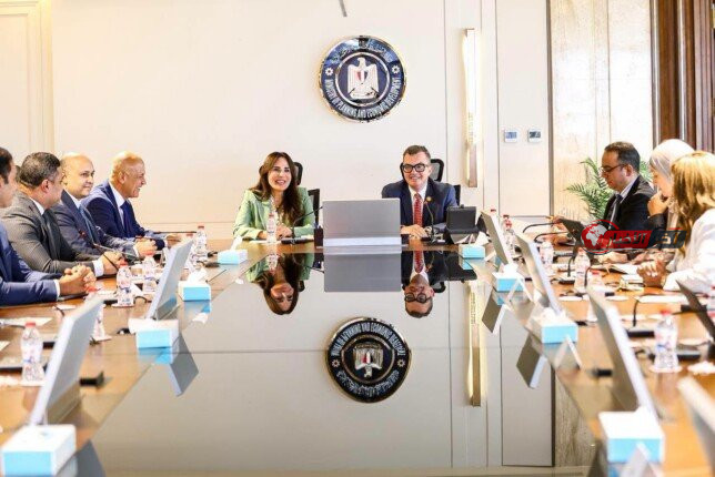 وزيرا «التخطيط» و«الإسكان» يناقشان الموقف التنفيذي لمشروعات خطة 2026-2027 عبر الخرائط التفاعلية